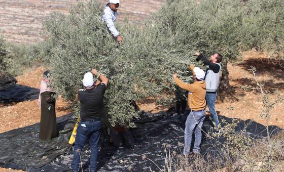 Crackdown on Palestinian civil society is reaching alarming levels, warns UN human rights office